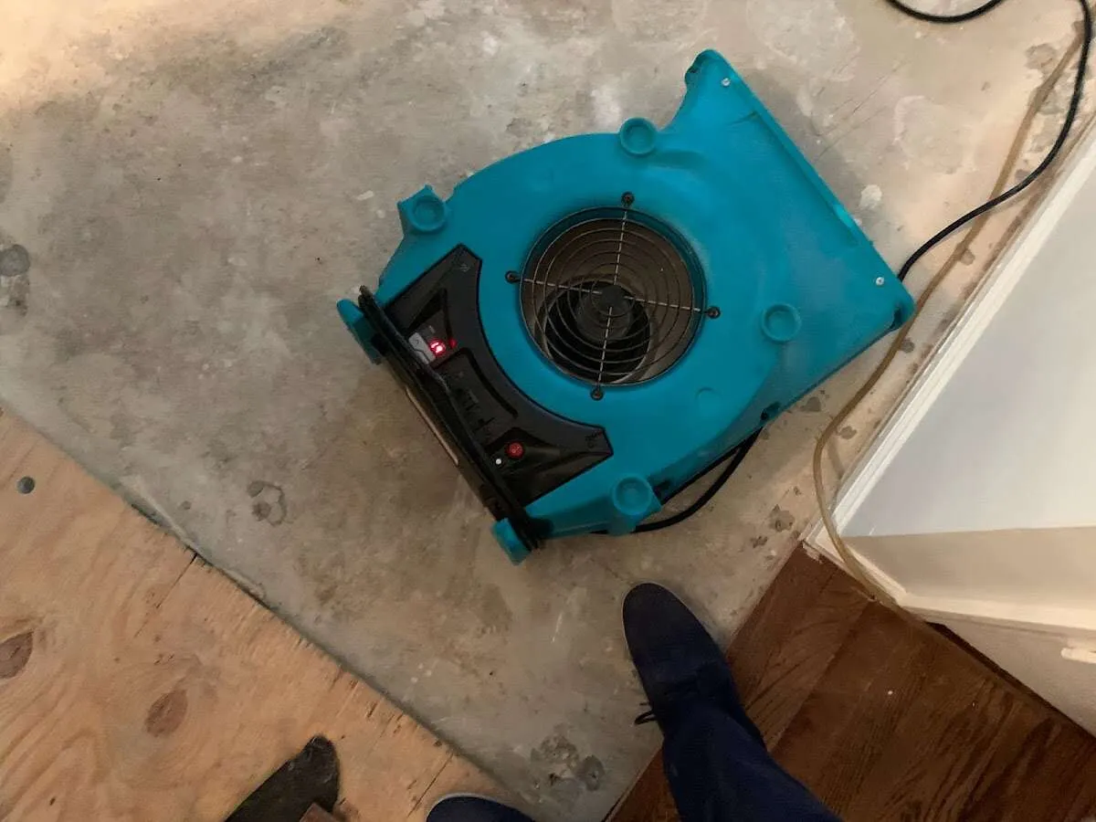 Air mover drying subfloor during Leak Detection & Repair in Douglass Hills
